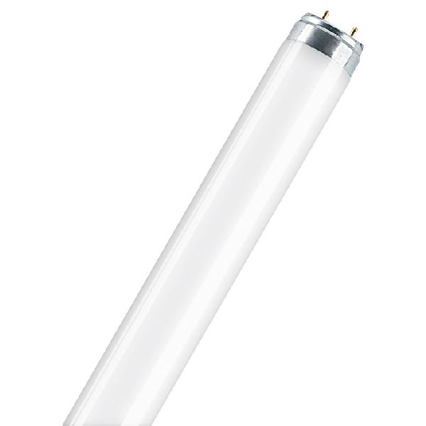 TUBE FLUORESCENT ACTIVE T8 18W 840 600MM