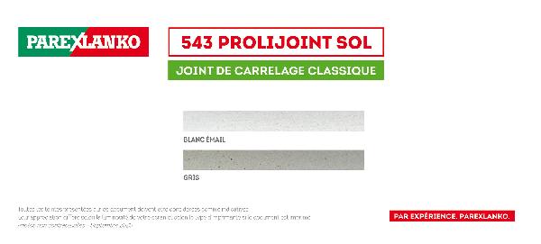 Joint Carrelage 543 Prolijoint Mur Blanc émail Sac 20kg