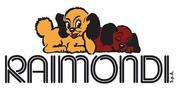RAIMONDI DISTRIBUTION RAIMONDI DISTRIBUTION